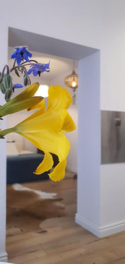 Old Town Apartment 포즈난 외부 사진